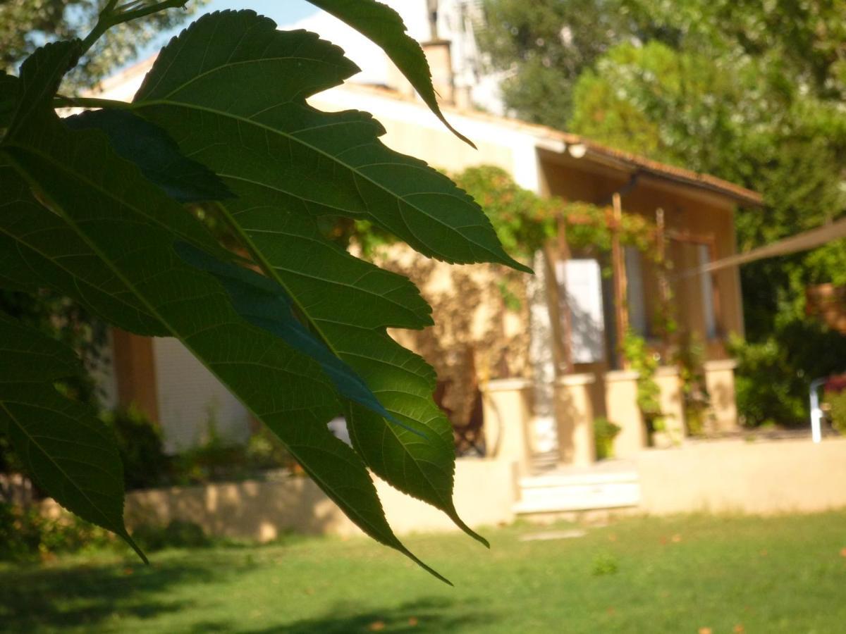 Bed and Breakfast L'Atelier Des Coudelieres Le Thor Exterior foto