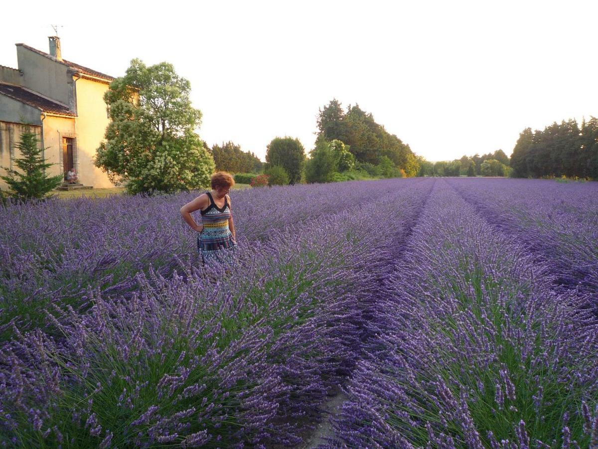 Bed and Breakfast L'Atelier Des Coudelieres Le Thor Exterior foto