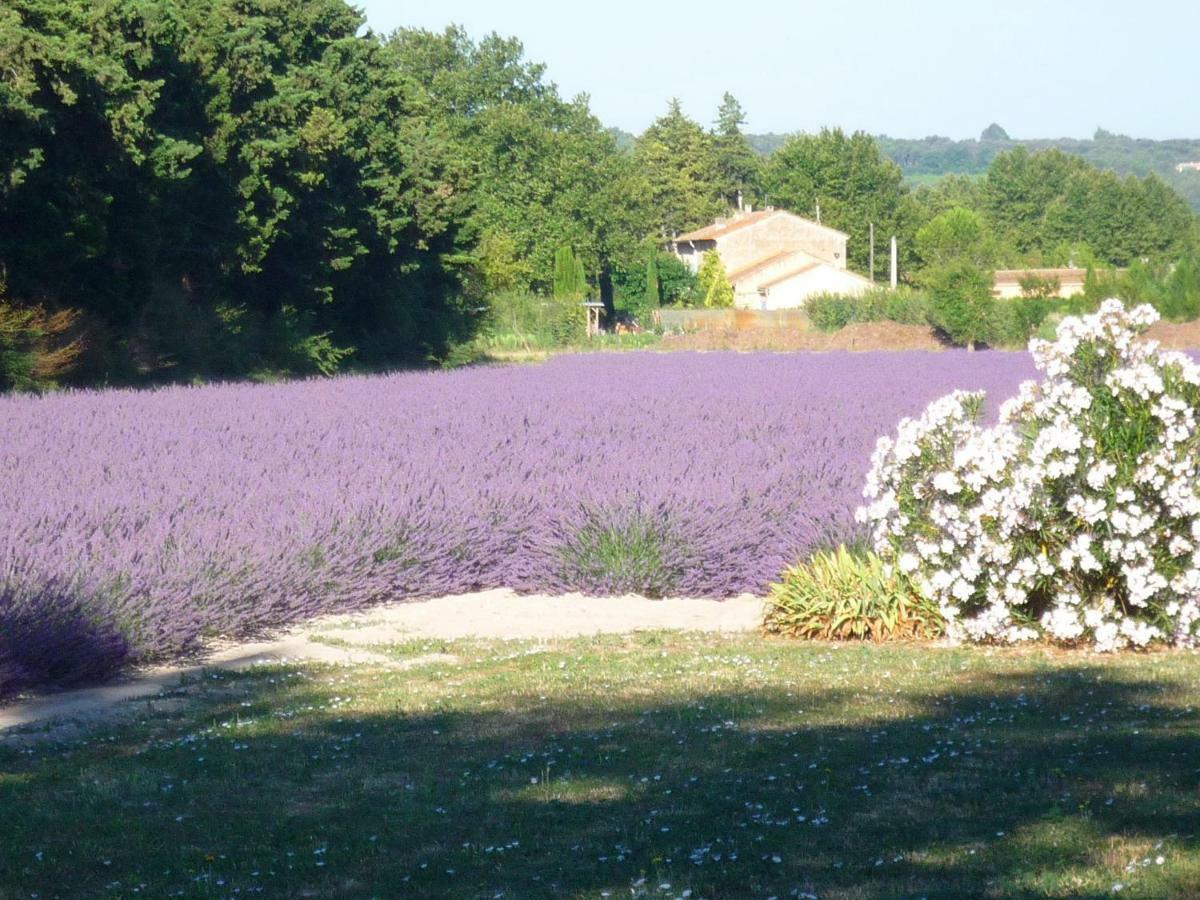 Bed and Breakfast L'Atelier Des Coudelieres Le Thor Exterior foto